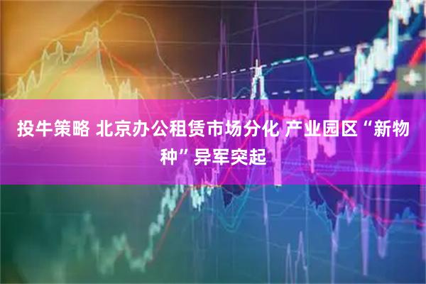 投牛策略 北京办公租赁市场分化 产业园区“新物种”异军突起
