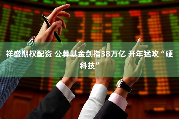祥盛期权配资 公募基金剑指38万亿 开年猛攻“硬科技”